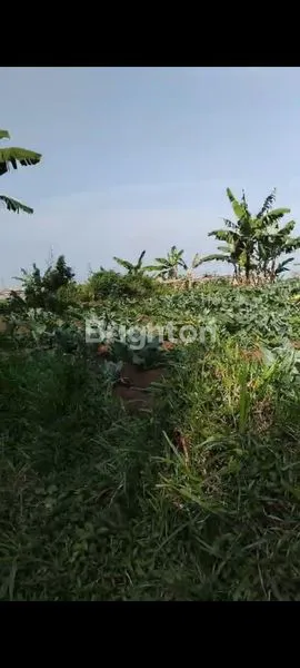 image TANAH 13 HA JL KOLONEL MASTURI PERBATASAN CIMAHI  DAN KBB  COCOK UNTUK INVESTASI  (1)