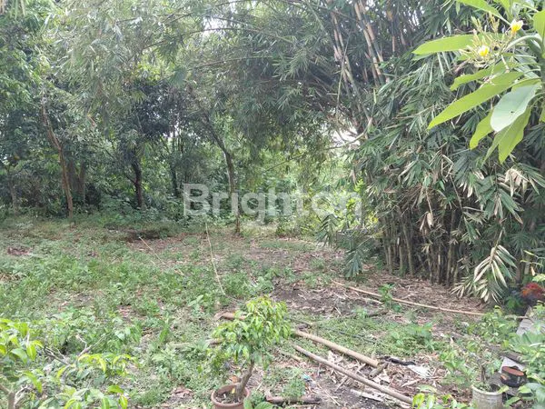 image DIJUAL TANAH 1000METER, LOKASI STRATEGIS DIKELILINGI SUNGAI COCOK UNTUK CLUSTER (2)