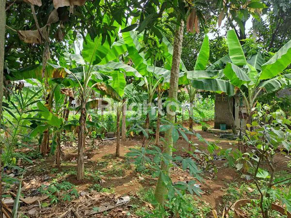 image JUAL TANAH TAPOS (2)