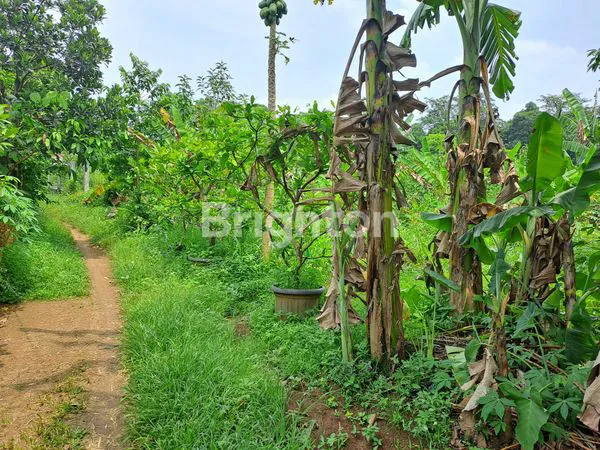 image JUAL TANAH TAPOS (7)