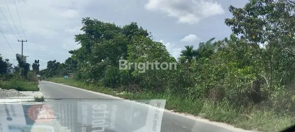 image LAHAN STRATEGIS 1.200M² DI JL TPU TAMPAN (5)