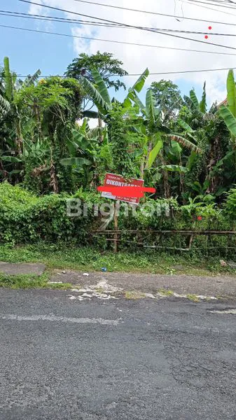 image SEWA TANAH PEGUYANGAN KAJA DENPASAR UTARA  (4)