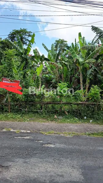 image SEWA TANAH PEGUYANGAN KAJA DENPASAR UTARA  (2)
