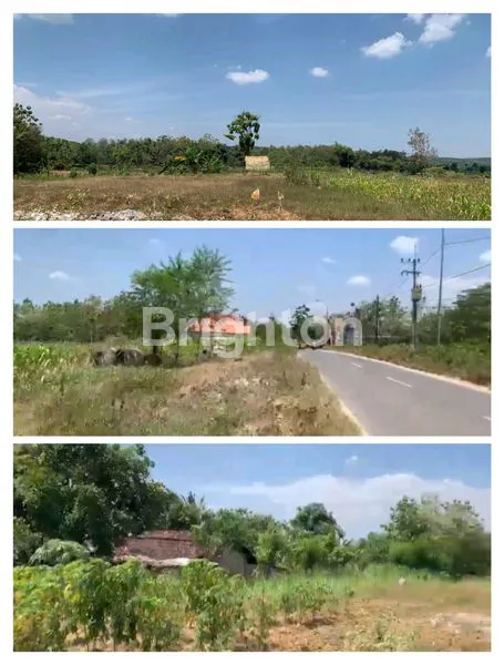 image LAHAN INDUSTRI 1,6 HEKTAR DI TUBAN (1)