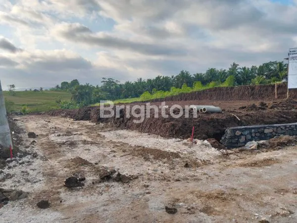 image TANAH BEREMBENG BAJERA BLOK O-P (4)