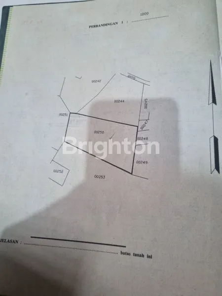 image DI JUAL TANAH LUAS DI KALIMULYA CILODONG (6)