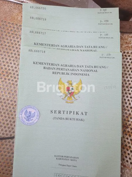 image DIJUAL TANAH KEBUN JATI DEKAT IKN (2)