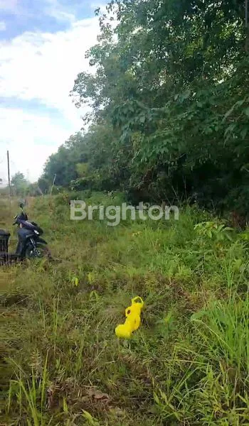 image TANAH MURAH TERITIP (1)