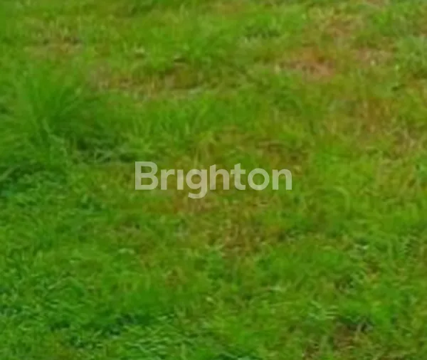 Gambar Property TANAH DHARMAHUSADA MANYAR SURABAYA DAERAH BEBAS BANJIR ROW JALAN 3 MOBIL