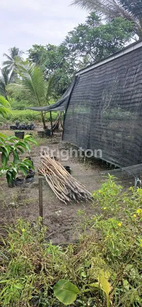 image TERITIP TANAH SHM LANGSUNG 2 KAVLING HARGA SANGAT TERJANGKAU  (2)