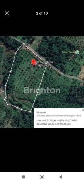 image DIJUAL SEGERA VILLA DAN KEBUN (3)