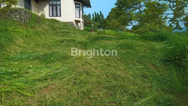 image DIJUAL SEGERA VILLA DAN KEBUN (7)