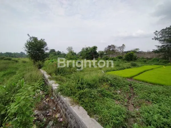 image TANAH KAVLING LUAS 14.339M² DI PASURUAN (5)