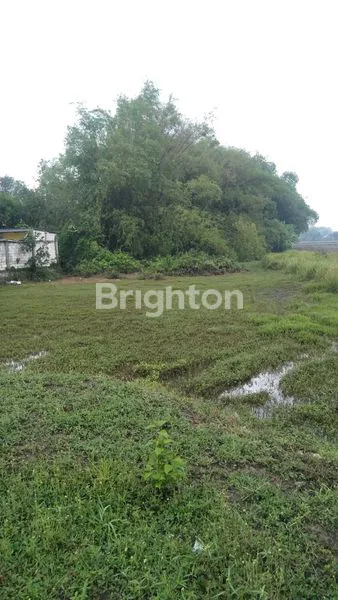 image TANAH UNTUK PERUMAHAN SRAGEN  (1)