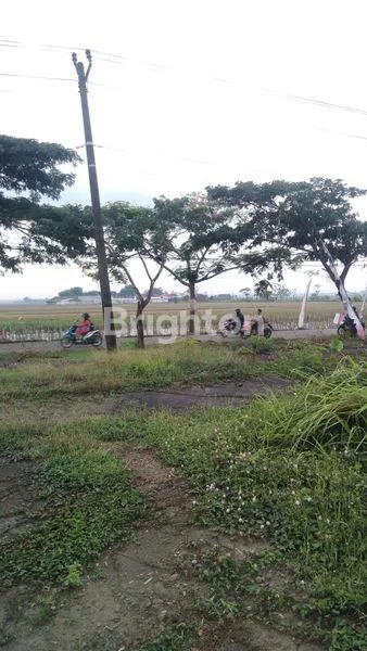 image TANAH UNTUK PERUMAHAN SRAGEN  (3)