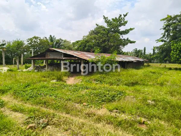 image TANAH ,SAWAH DAN KILANG BATU BATA DI PANTAI LABU (3)