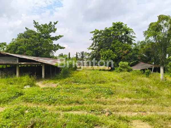 image TANAH ,SAWAH DAN KILANG BATU BATA DI PANTAI LABU (2)