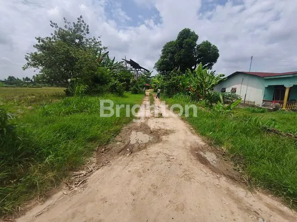 image TANAH ,SAWAH DAN KILANG BATU BATA DI PANTAI LABU (7)