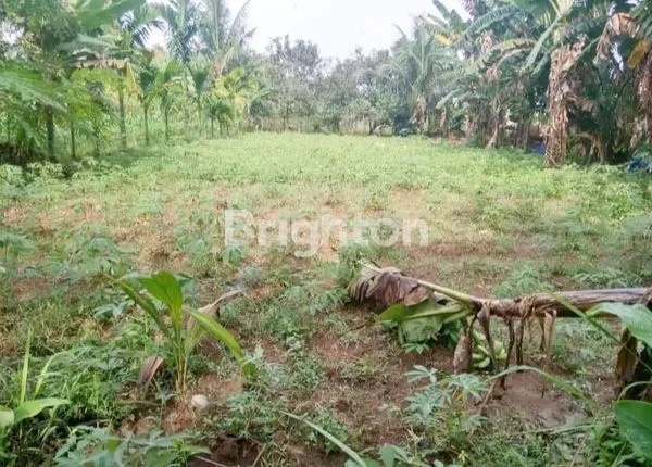 image DIJUAL TANAH SHM COCOK UNTUK BANGUN RUMAH ATAU INVESTASI\NJL DANAU BATUR GG ROSO KEL.SUMBER MULYO REJO KEC.BINJAI TIMUR\NHARGA\NRP. 529,9 JUTA (4)