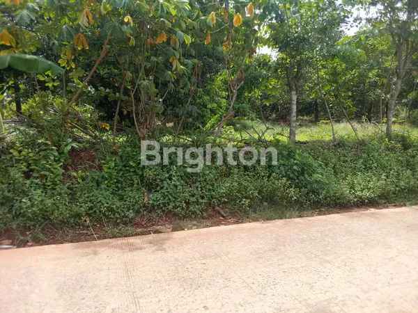 image TANAH DARAT PINGGIR JALAN UTAMA DI SETU BEKASI (2)