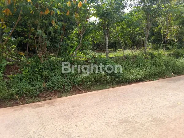image TANAH DARAT PINGGIR JALAN UTAMA DI SETU BEKASI (1)