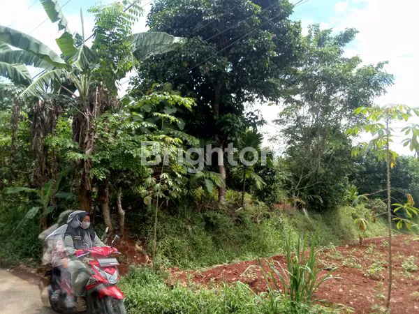 image TANAH DARAT PINGGIR JALAN UTAMA DI SETU BEKASI (6)
