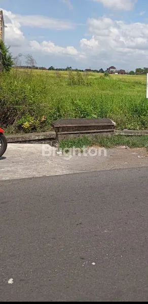 TANAH LUAS 14 ARE HADAP TIMUR DI DARMASABA