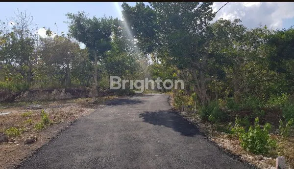 image TANAH KAVLING SIAP BANGUN  330 M² DI DESA KLUMPU NUSA PENIDA (4)