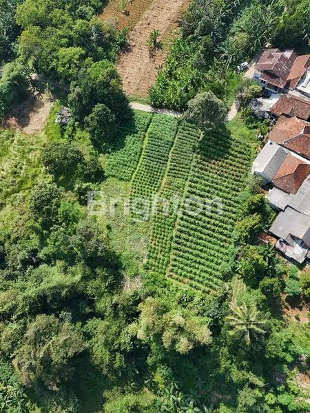 image TANAH LOKASI DEKAT EXIT TOL CIAWI BOGOR (3)