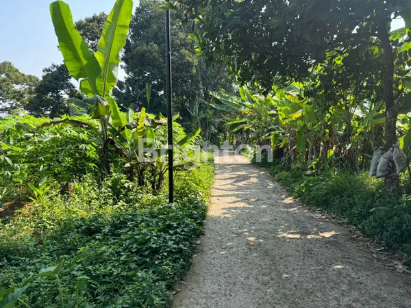 image TANAH LOKASI DEKAT EXIT TOL CIAWI BOGOR (5)