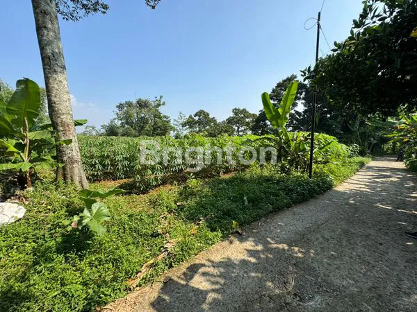 image TANAH LOKASI DEKAT EXIT TOL CIAWI BOGOR (4)