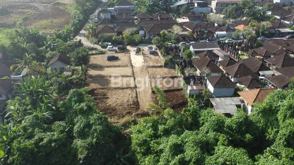 image TANAH KAVLING WERKUDARA TABANAN BALI  ( 100  M²) (3)