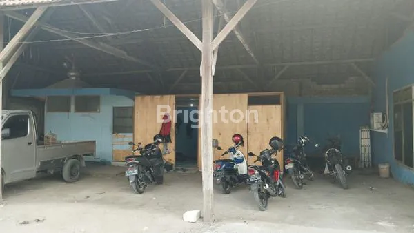 image GUDANG LAMONGAN PUCUK (3)