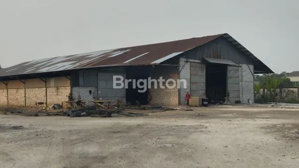 GUDANG LAMONGAN PUCUK