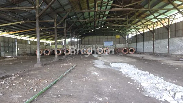 image GUDANG LAMONGAN PUCUK (4)