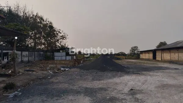 image GUDANG LAMONGAN PUCUK (2)