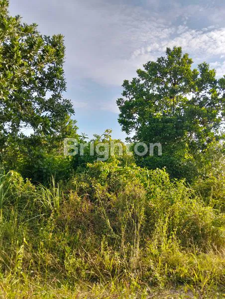 image SEBIDANG TANAH DESA PANDAU JAYA (1)