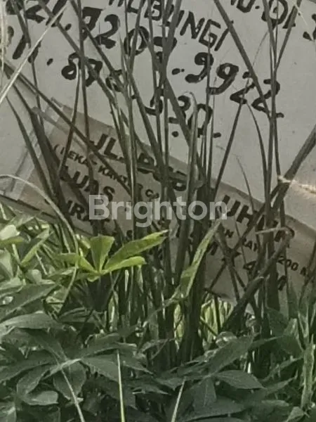 image TANAH PREMIUM (5)