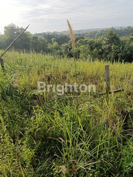 image TANAH PREMIUM (2)