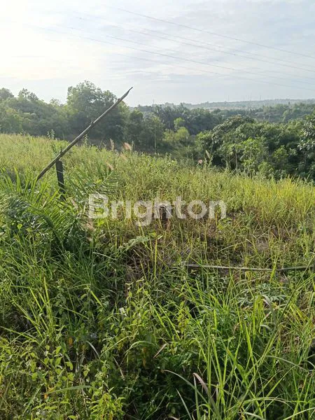 image TANAH PREMIUM (1)