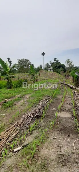 image TANAH LUAS 20.300M² DI SEI MENCIRIM (6)