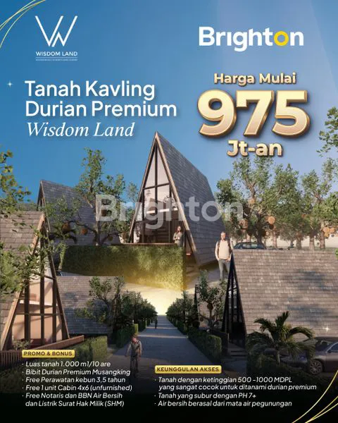image TANAH KAVLING DURIAN MUSANGKING 10 ARE - VIEW HILL, OCEAN, FORREST - INVESTASI AGRO & ECO TOURISM DI PENEBEL - TABANAN (1)