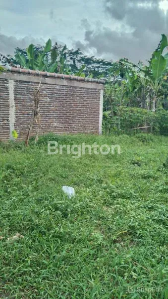image TANAH DI MENDALAN WETAN, WAGIR MALANG (1)