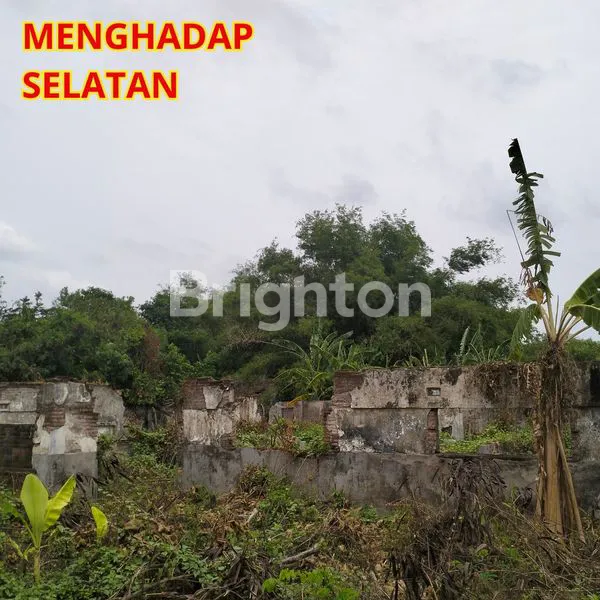image TANAH DEPAN JALAN PROPINS JOMBANG, DIJUAL DI BAWAH HARGA PASAR  (4)