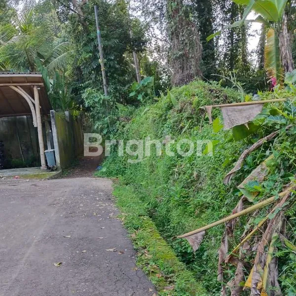 image TANAH MURAH DENGAN VIEW SAWAH & JUNGLE DI SINGAKERTA - UBUD, BALI (2)