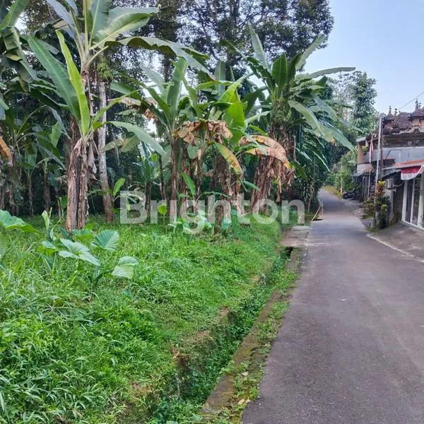 image TANAH MURAH DENGAN VIEW SAWAH & JUNGLE DI SINGAKERTA - UBUD, BALI (1)