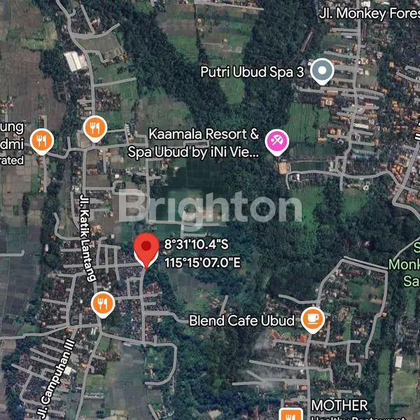 image TANAH MURAH DENGAN VIEW SAWAH & JUNGLE DI SINGAKERTA - UBUD, BALI (5)