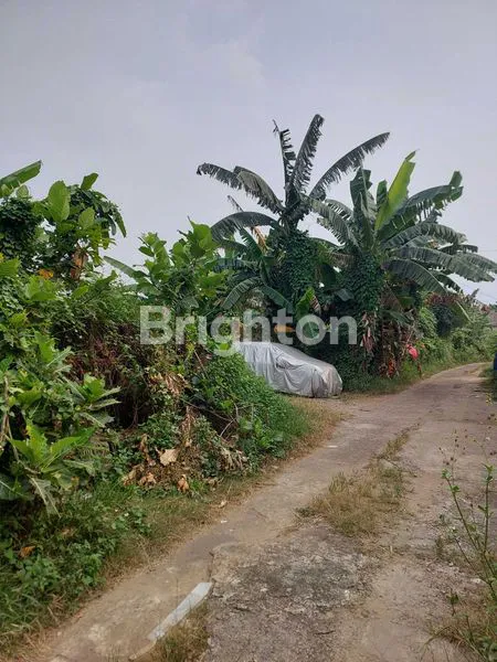 image TANAH 1100 DI CIANGSANA DEPAN KOTA WISATA (4)