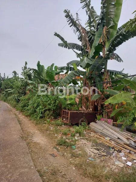 image TANAH 1100 DI CIANGSANA DEPAN KOTA WISATA (3)