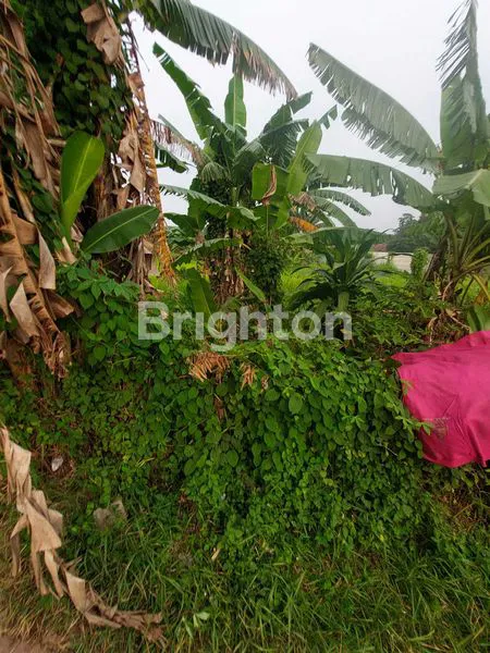 image TANAH 1100 DI CIANGSANA DEPAN KOTA WISATA (8)